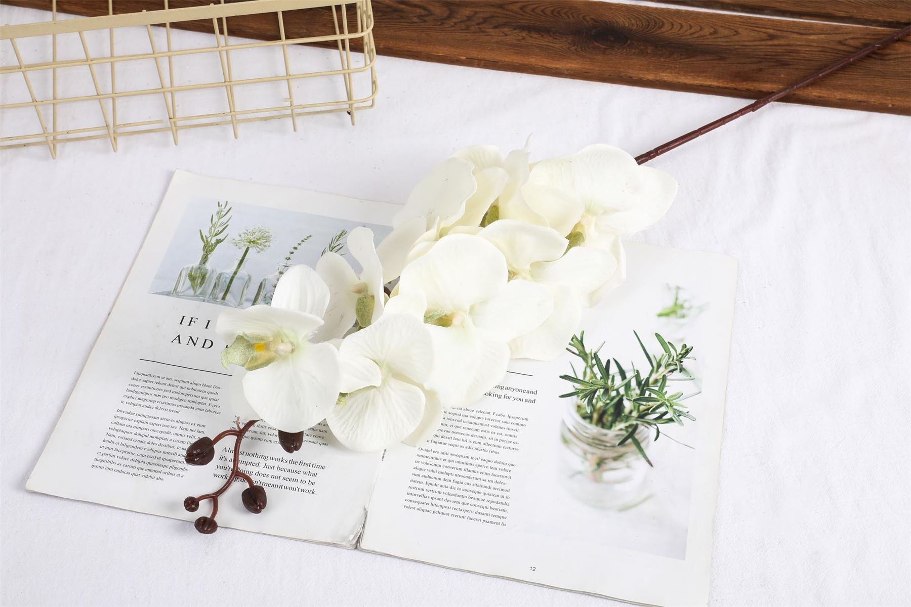 Premium Modern Large Orchid