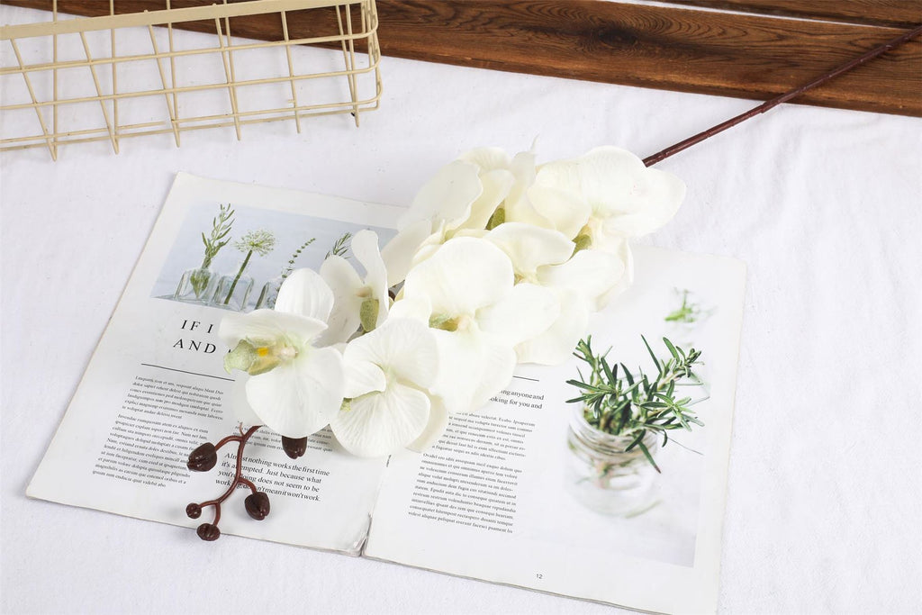 Premium Modern Large Orchid