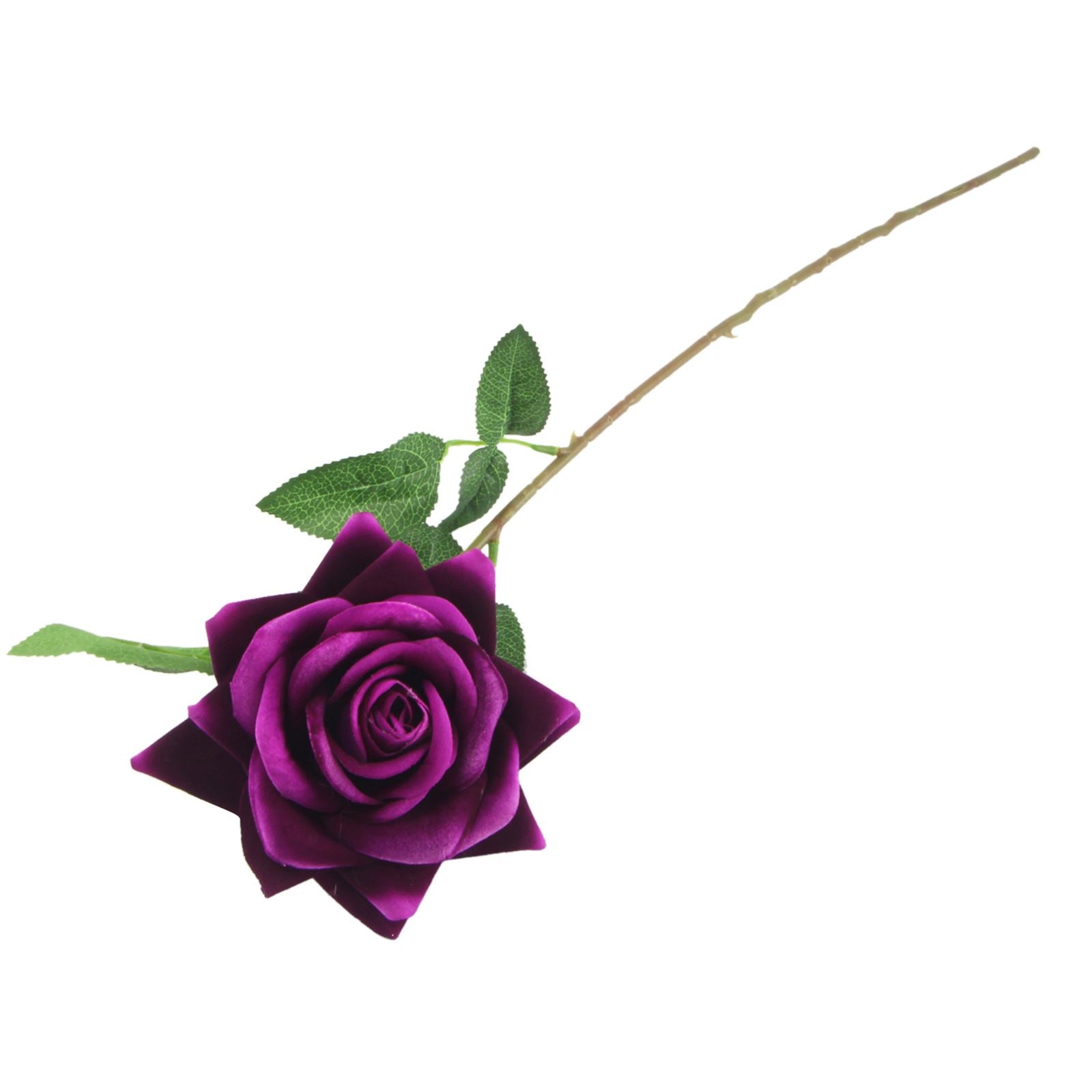 Premium Open Velvet Rose