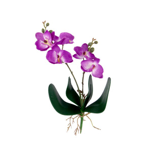 Mini Cuchi Orchid Spray