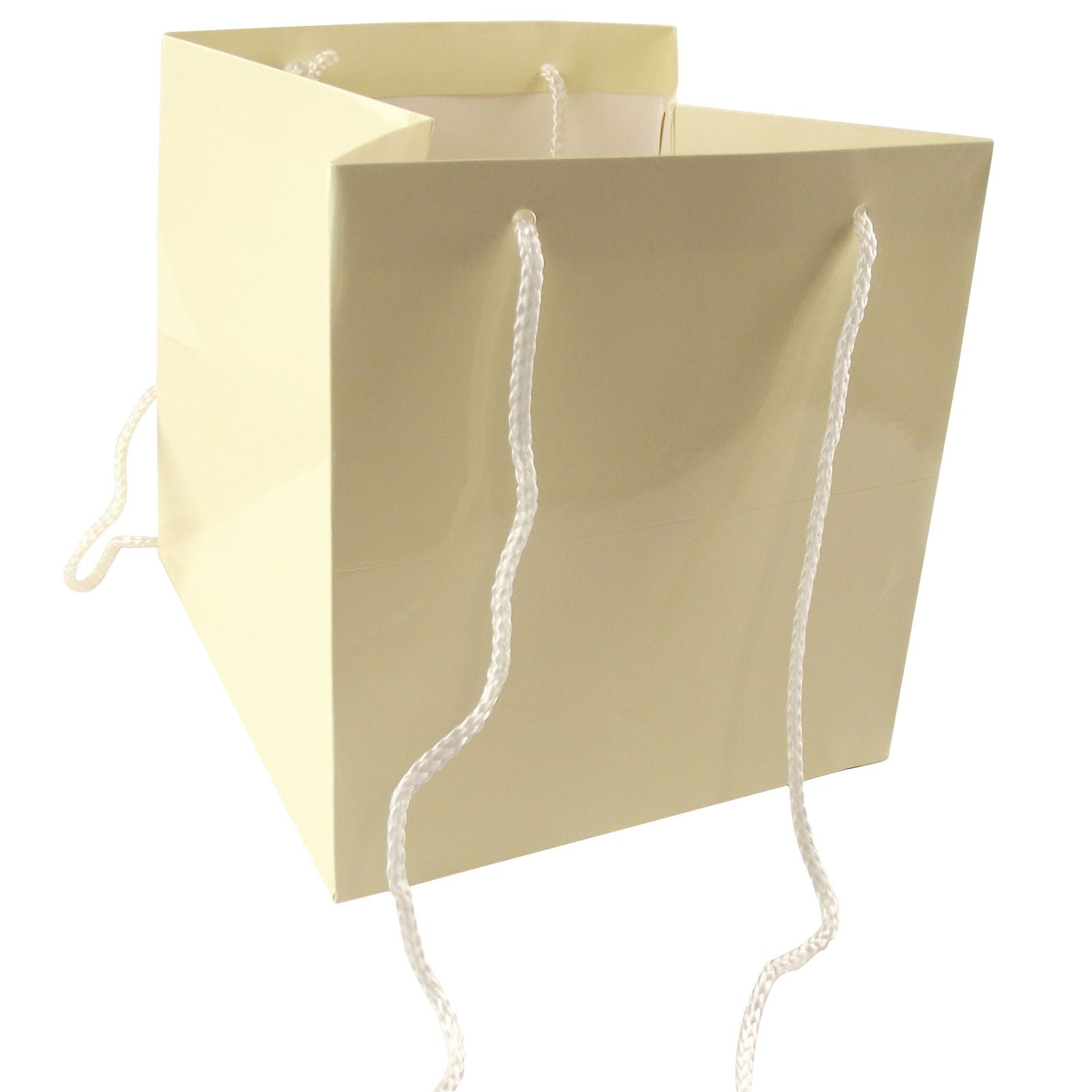 Large Florist Hand Tie Bag