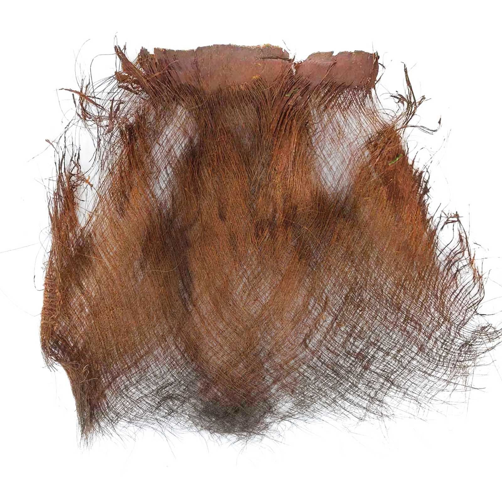 Dried Preserved Palm Tree Hair Fluff