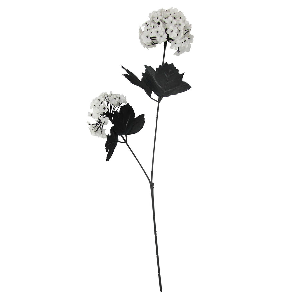 Snowball Hydrangea Flower