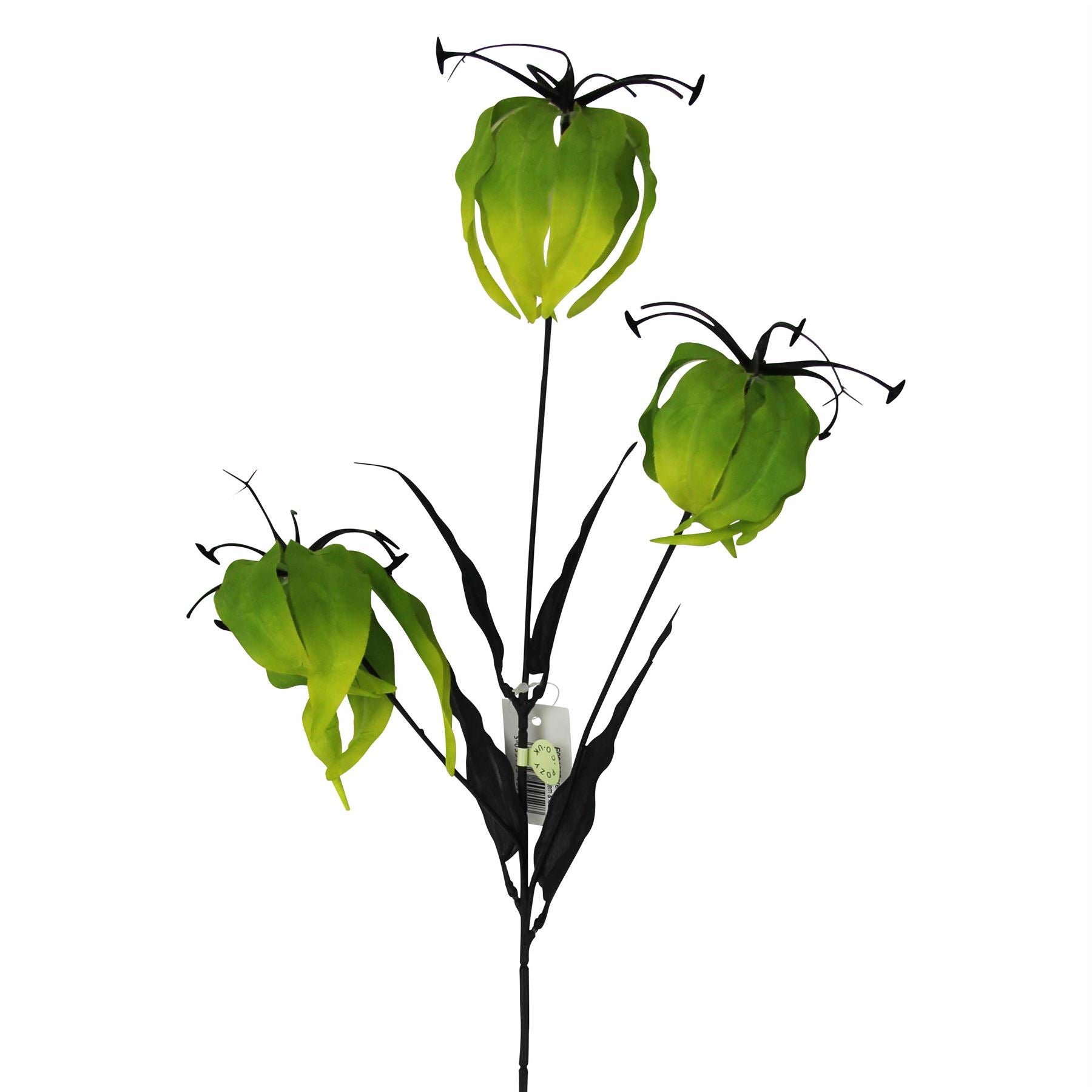 Gloriosa Spray with Black Foliage