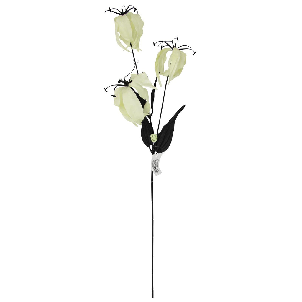 Gloriosa Spray with Black Foliage