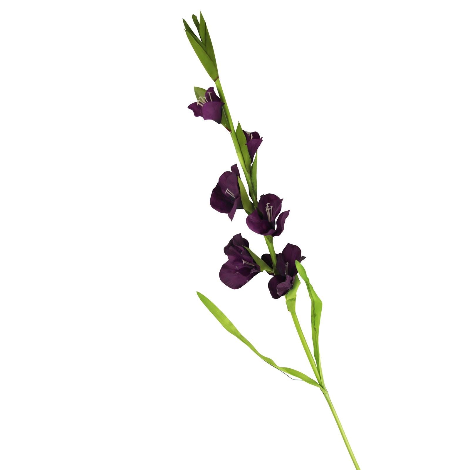 Gladiolus Stem - Purple