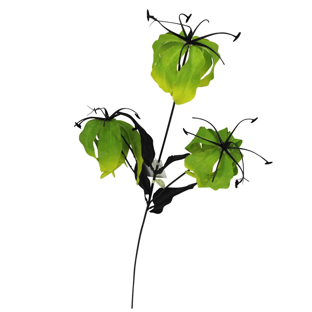 Gloriosa Spray with Black Foliage