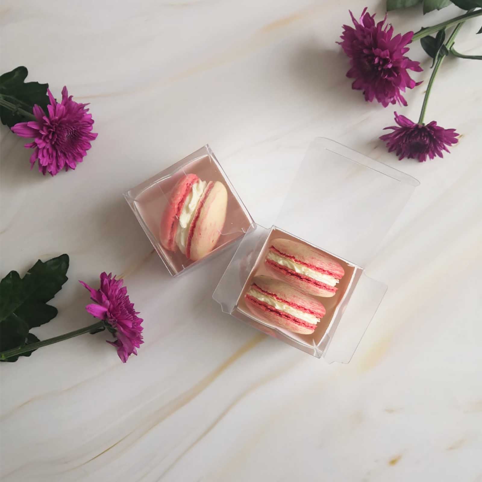Long Clear PVC Macaron Boxes with Inserts