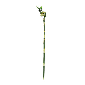 Long Spiral Twist Lucky Bamboo Stem with Sprout - Artificial Fake Foliage Leaf