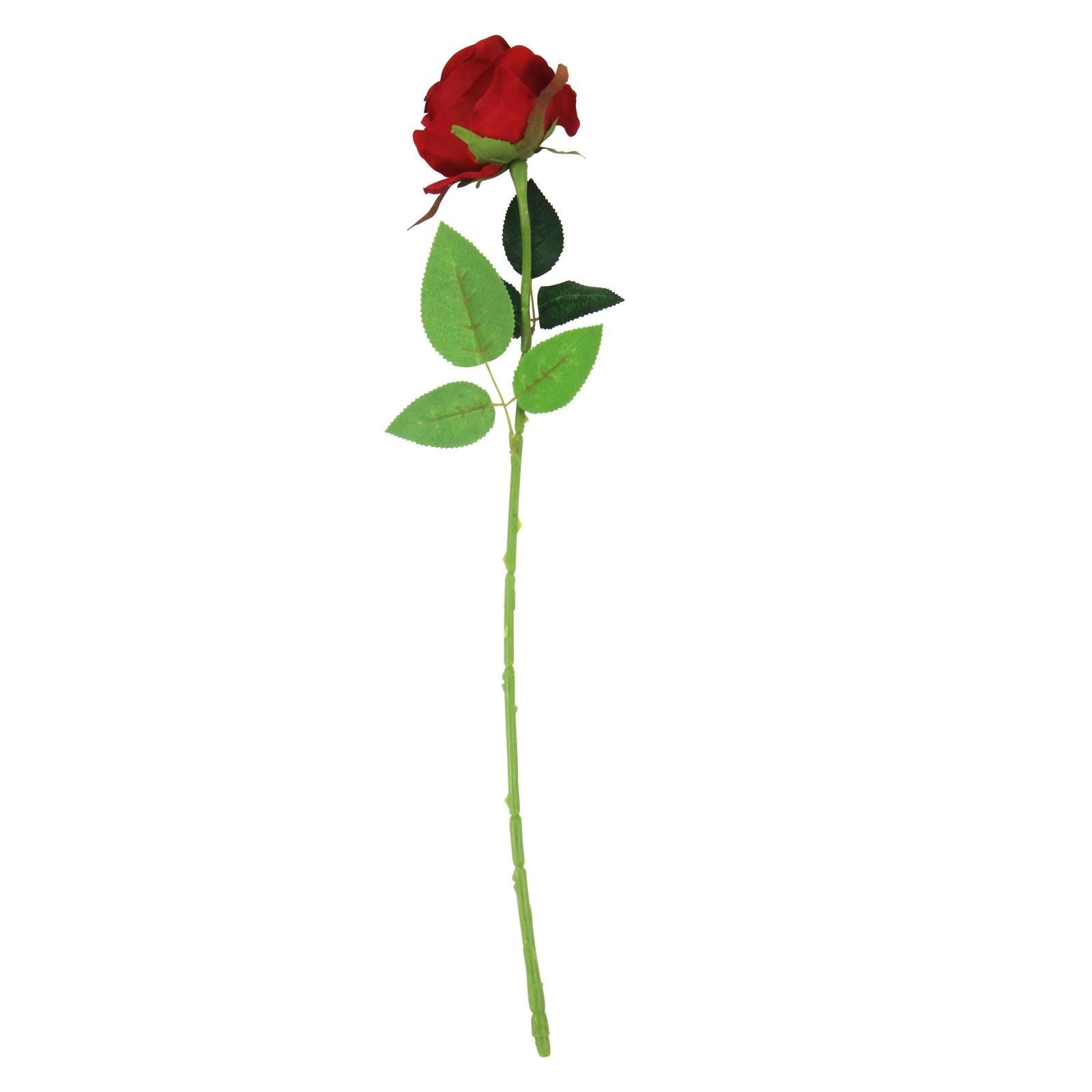 Soft Touch Premium Roses