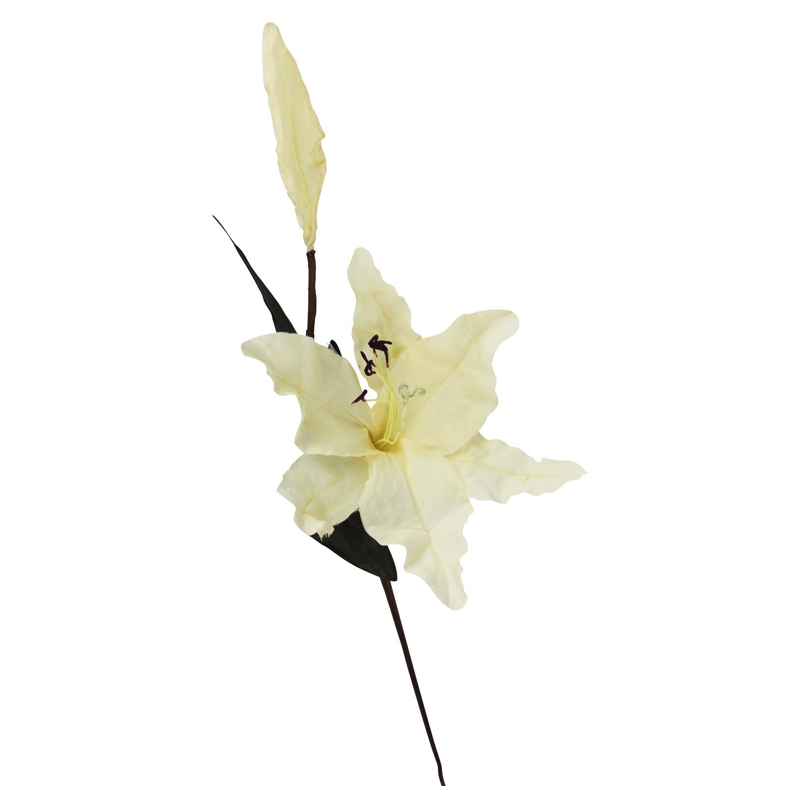 Box of 12 Magnolia Stargazer Lily with Bud