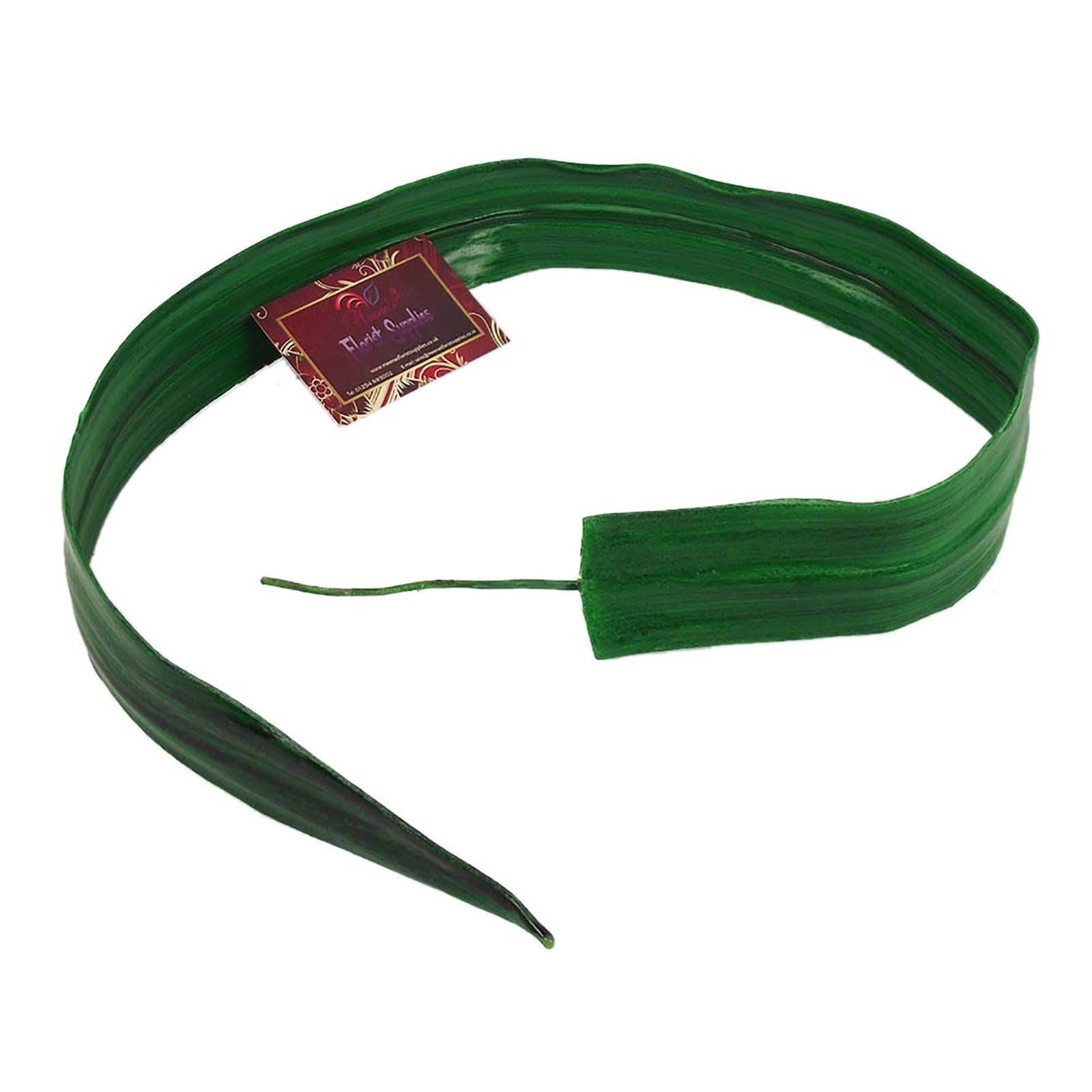 Premium Thick Extra Long Single Blade Leaf