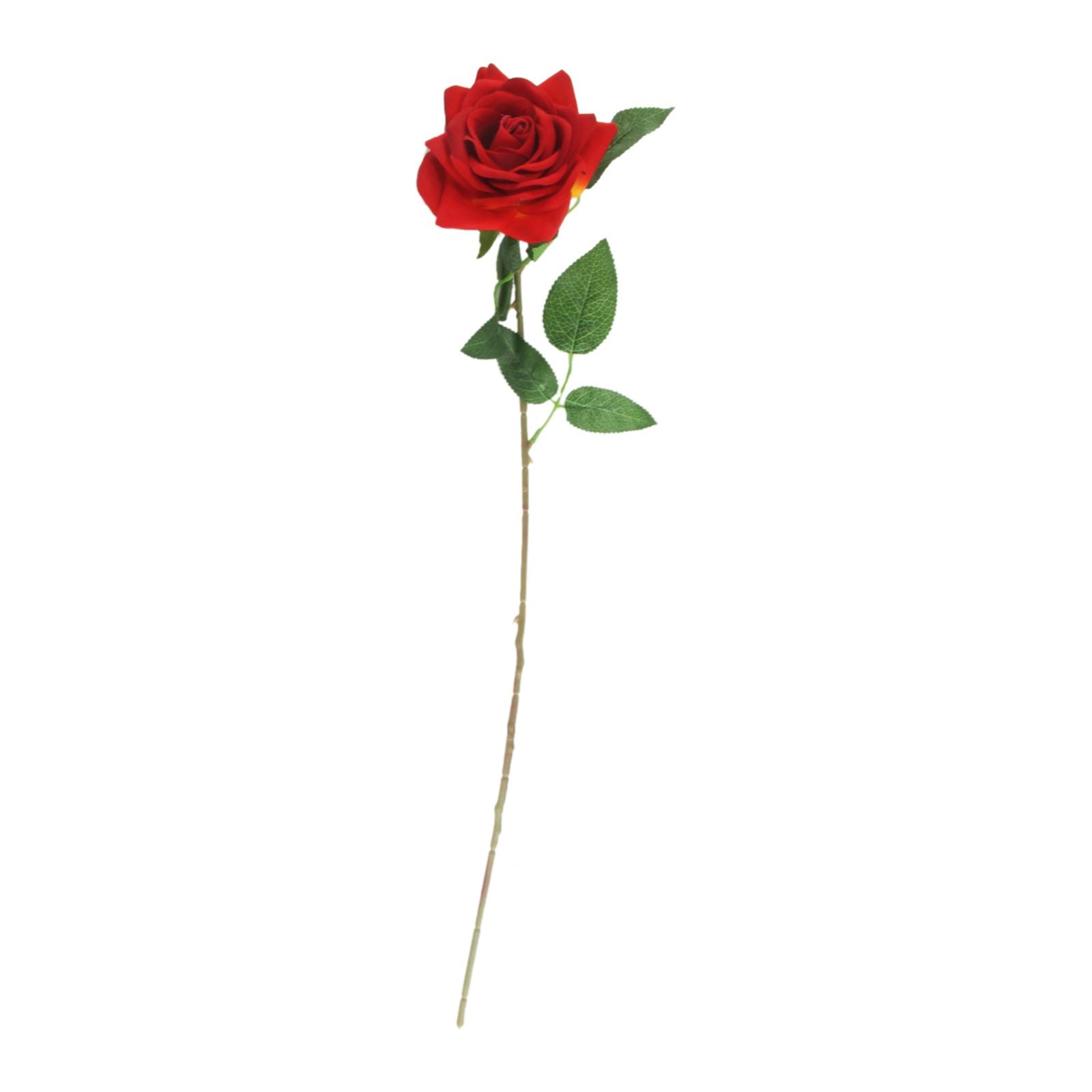 Premium Open Velvet Rose