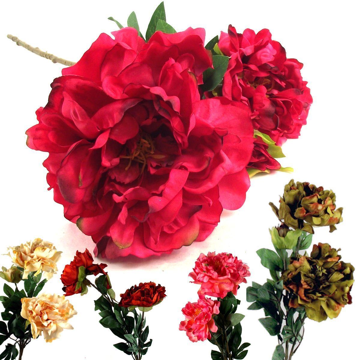 Large Open Peony Spray