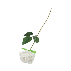 Single Eco Rose Stem