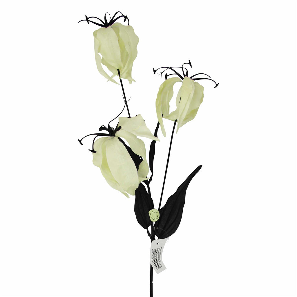 Gloriosa Spray with Black Foliage