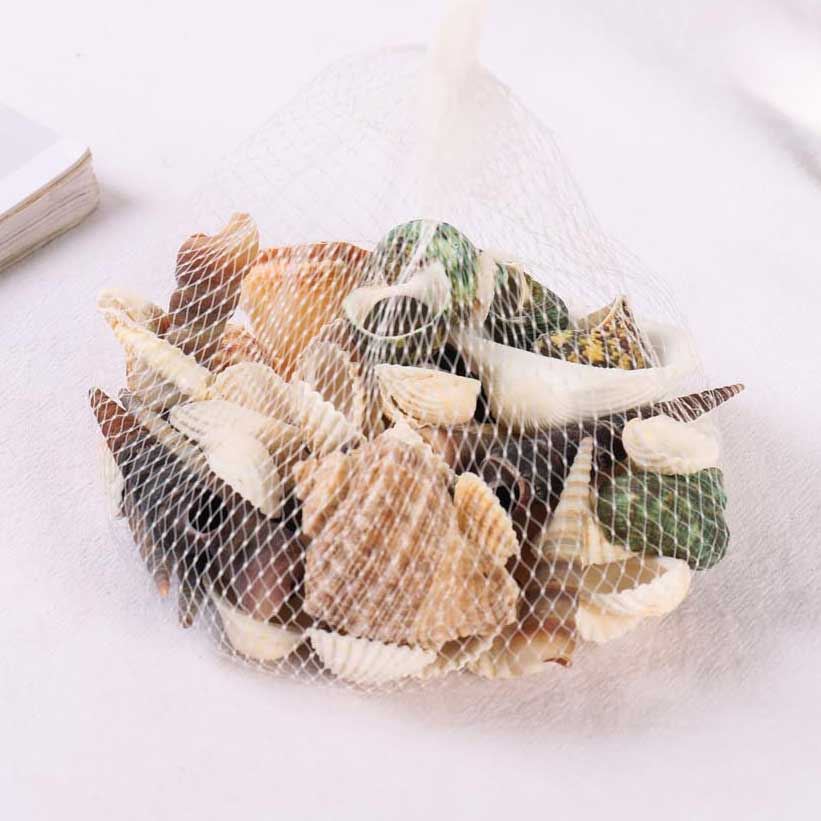 Bag of Assorted Sea Shells