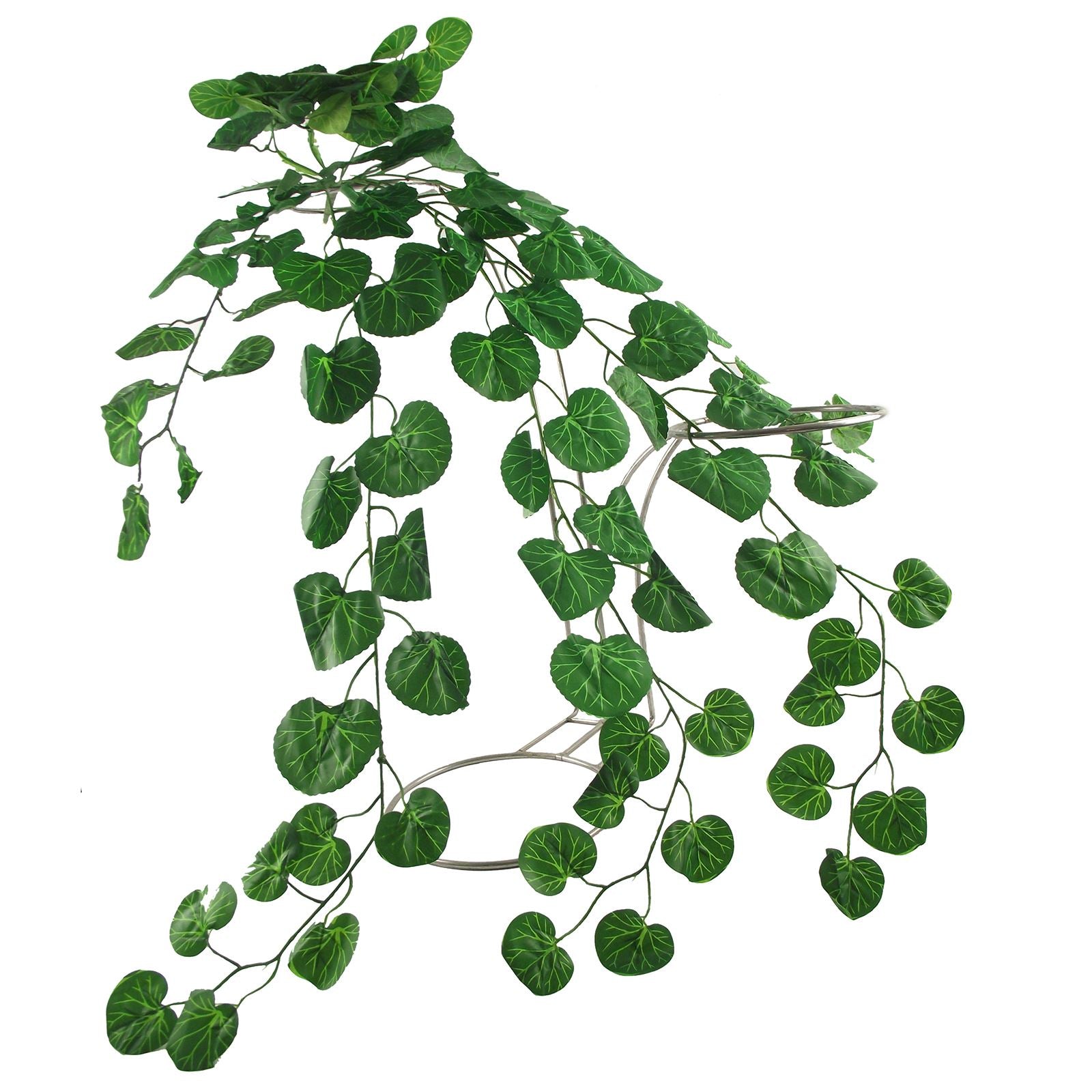 Thick Trailing Ivy Pick