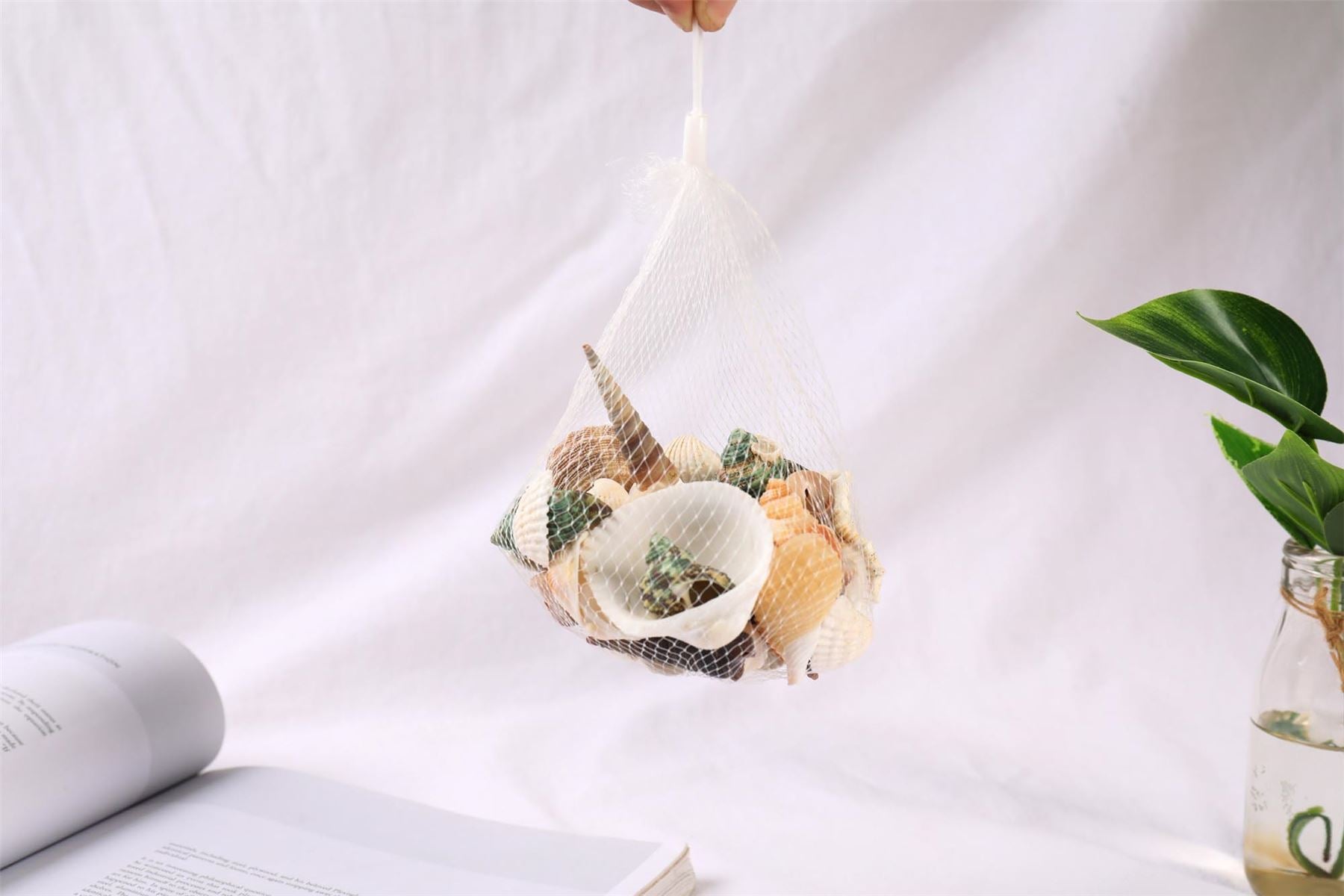 Bag of Assorted Sea Shells