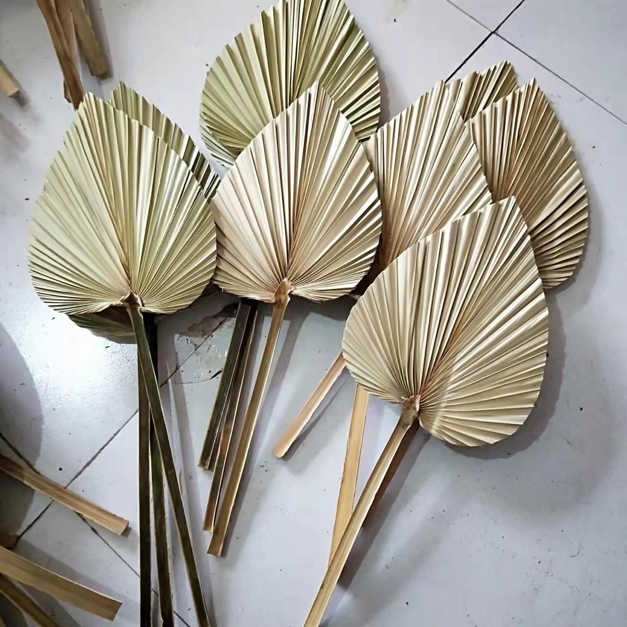 XL Natural Dried Palm Spears