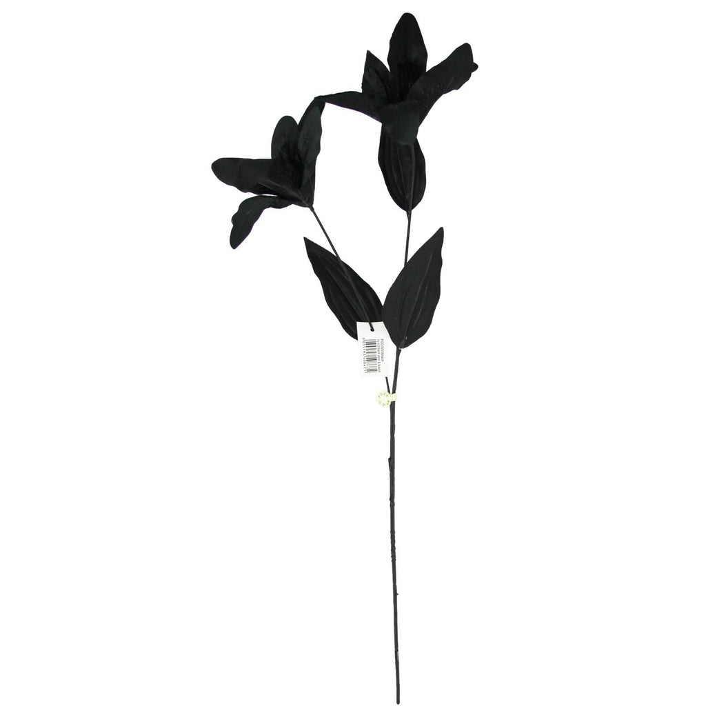 2 Head Stargazer Lily