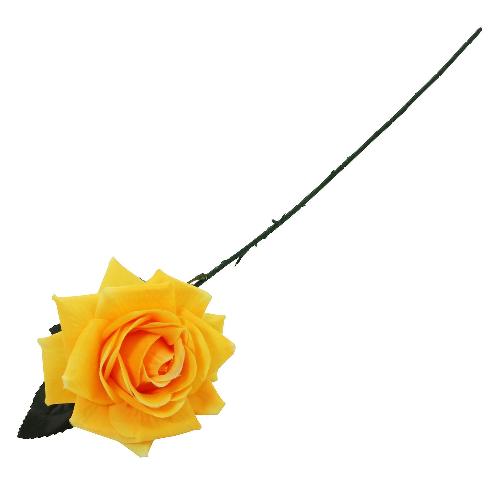 Large Plastic Premium Open Rose