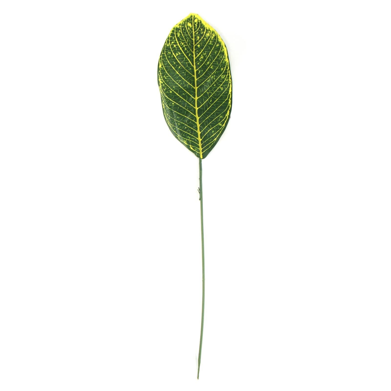 Tropical Single Regular Artificial Leaves