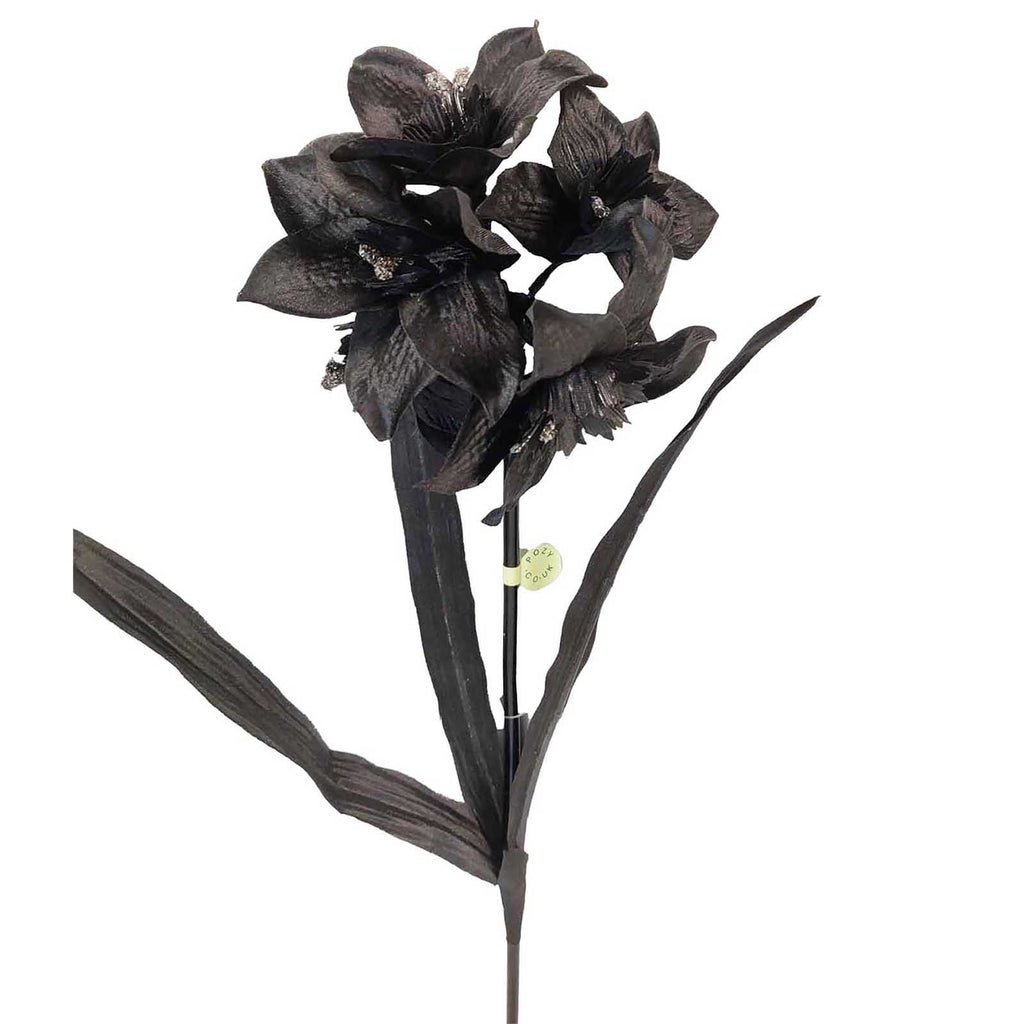 Tazetta Daffodil Stems