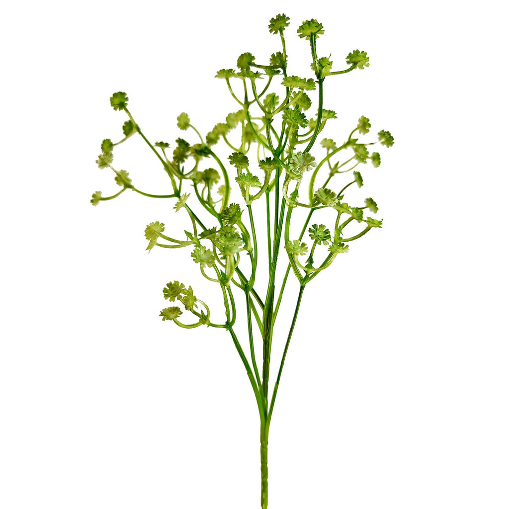 Coloured Gypsophila Sprays