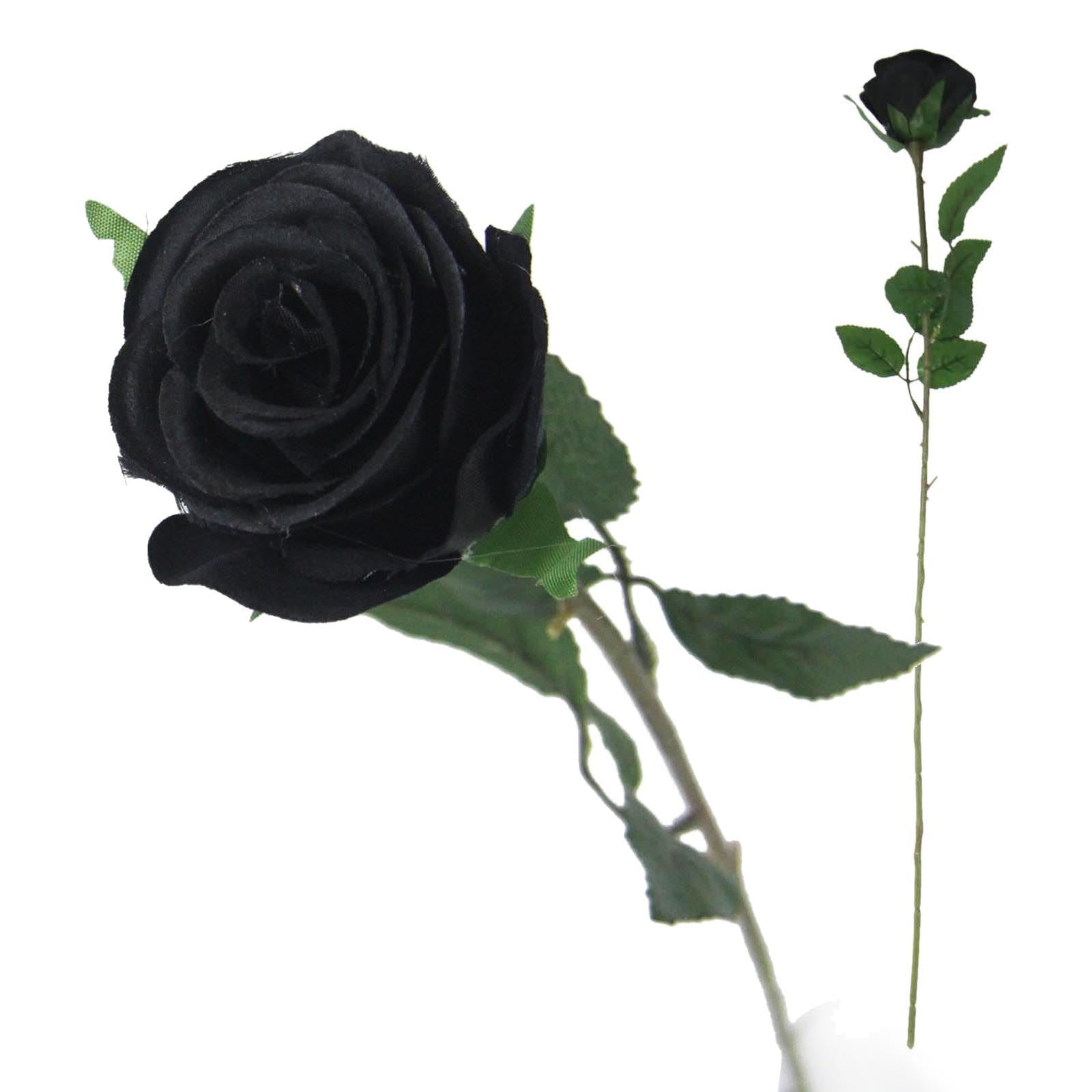 Single Premium Rose Bud