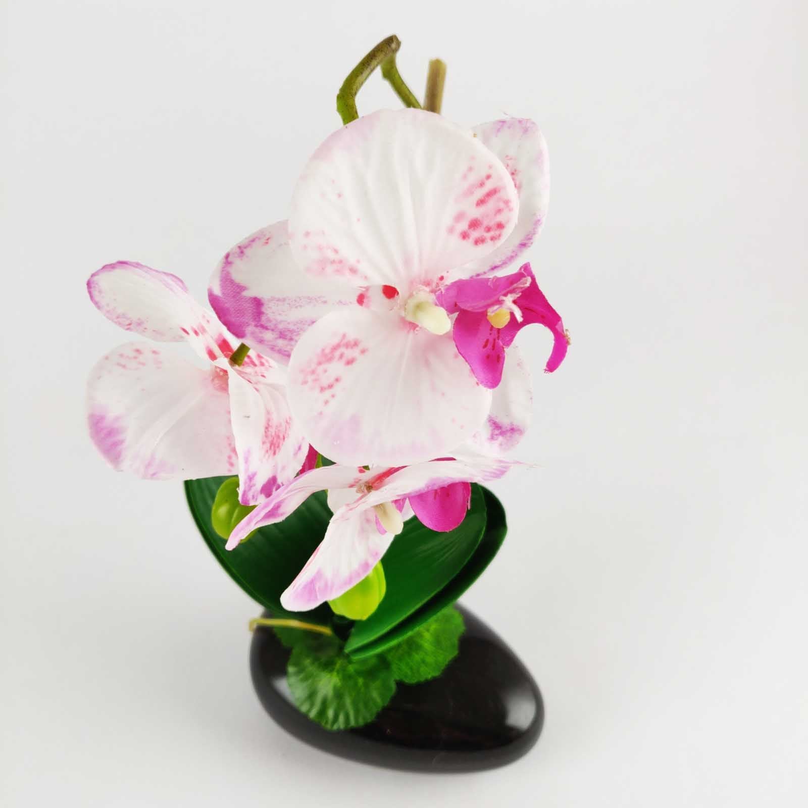 Pre-Potted Real Touch Orchid Plants