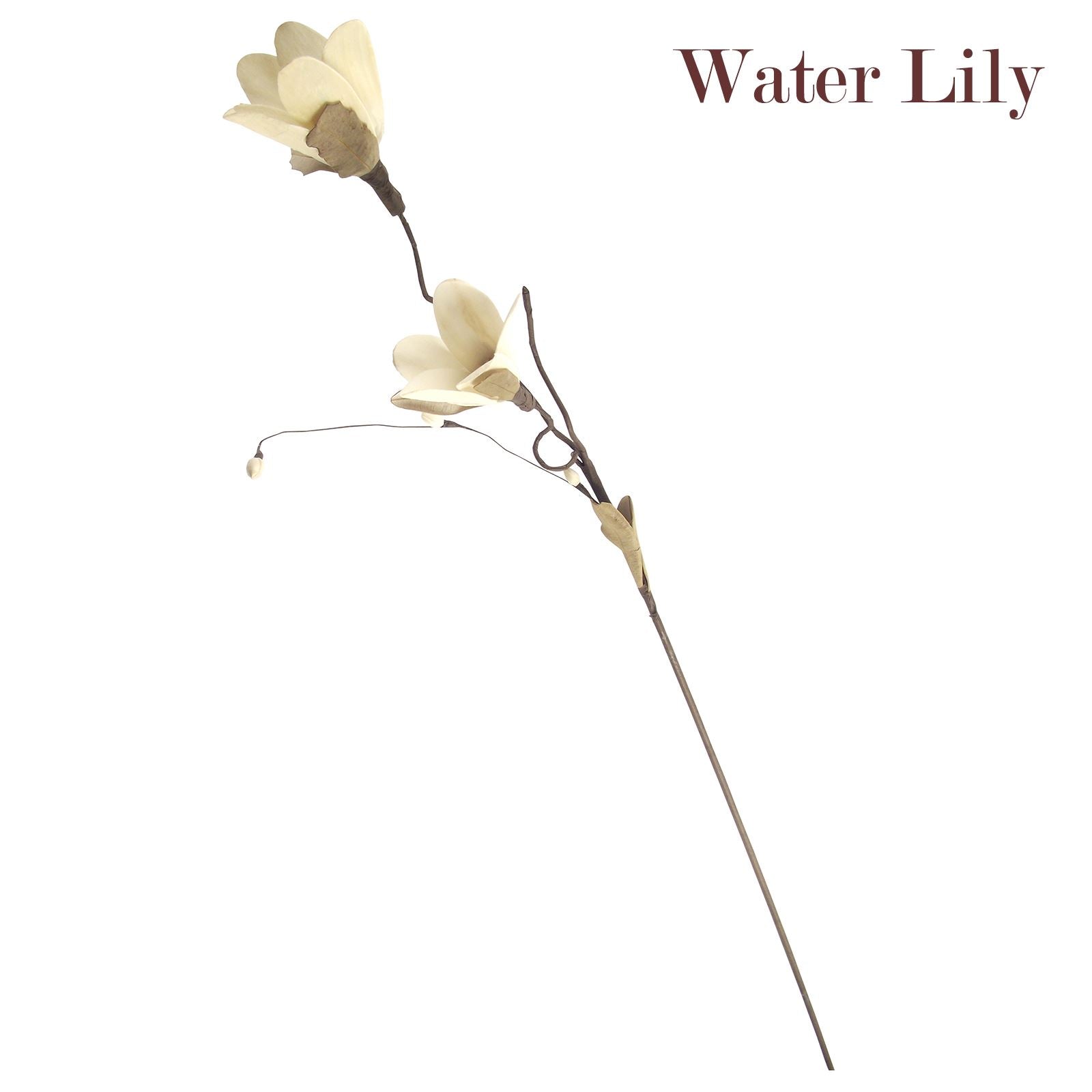 Natural Sola Tree Flower Sprays