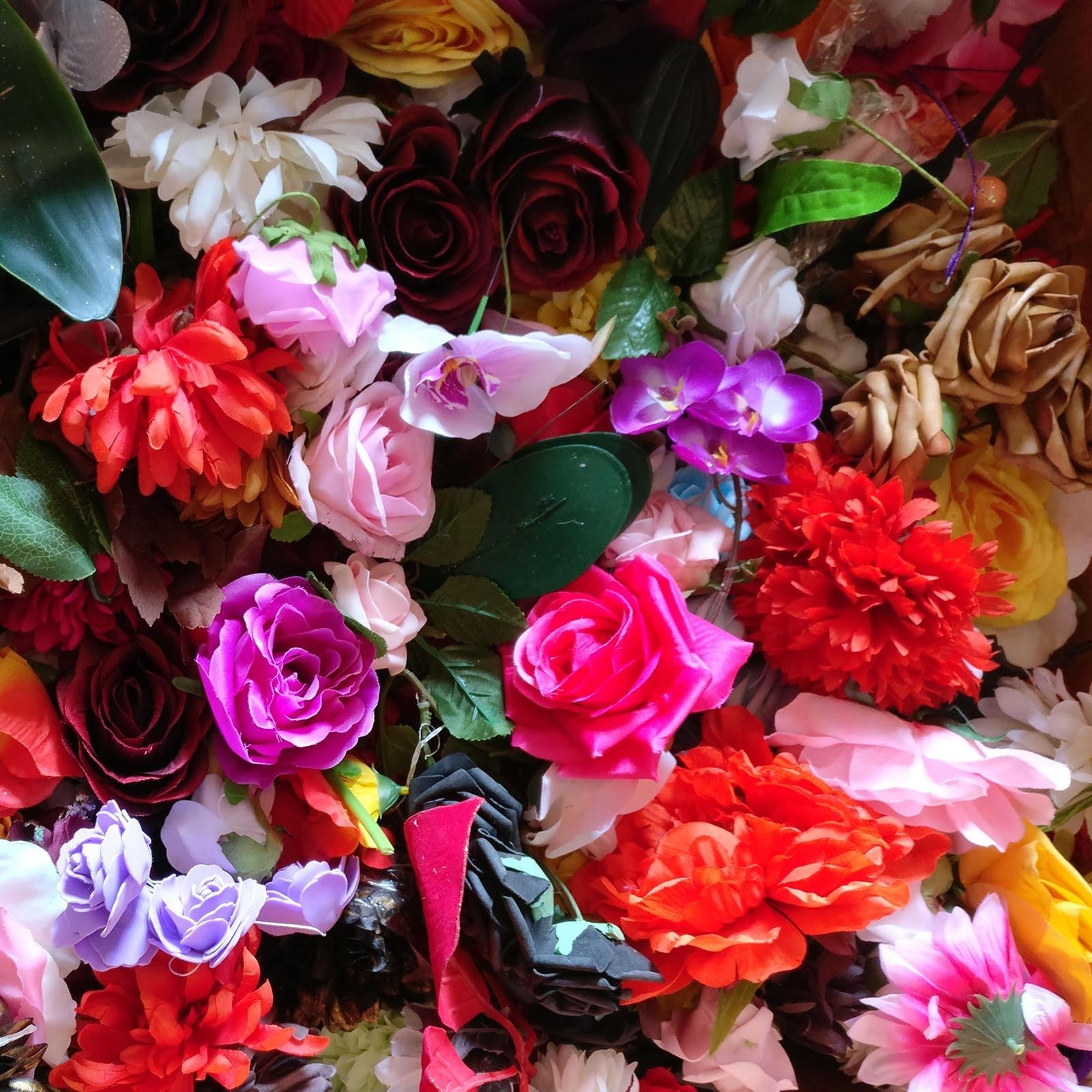 Assorted Flower Heads