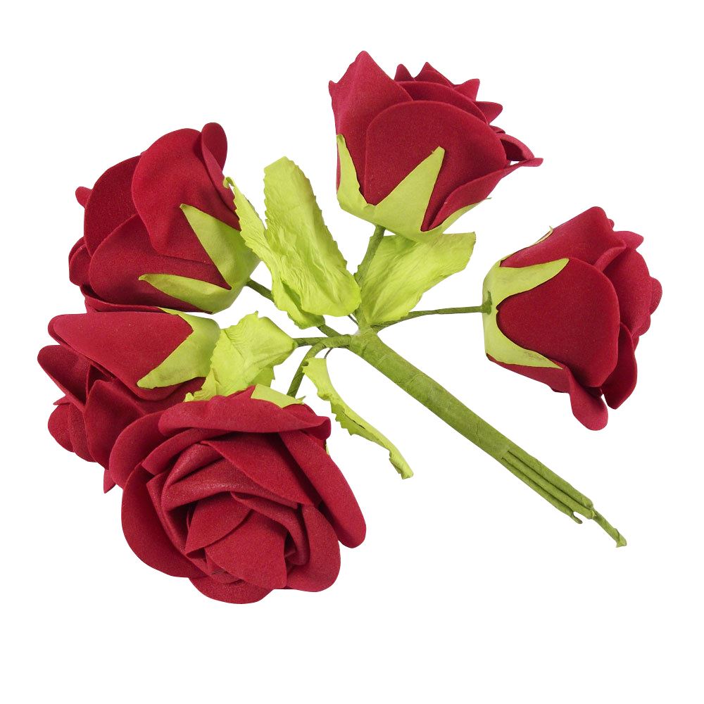 Large Colourfast Roses with Leaf