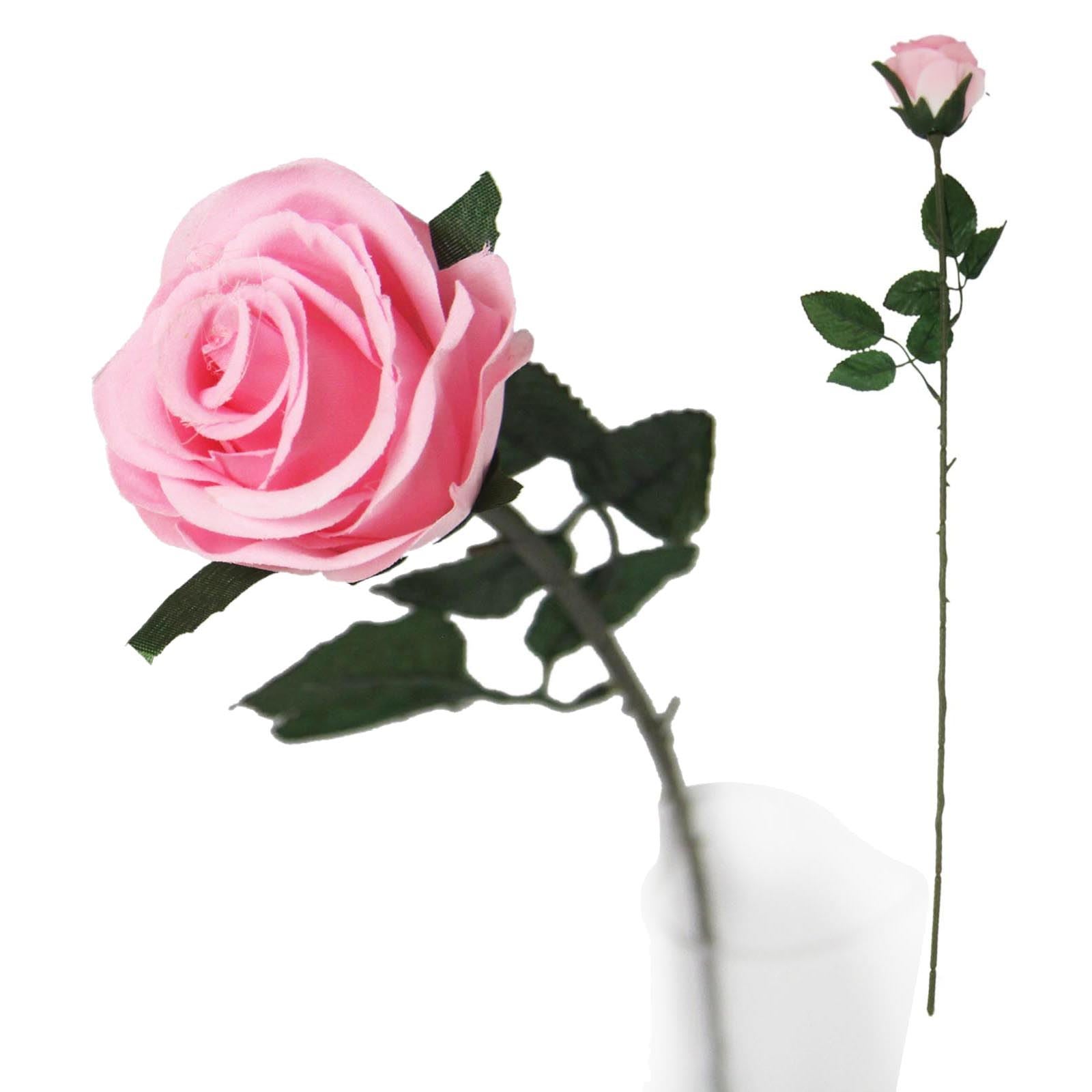 Single Premium Rose Bud