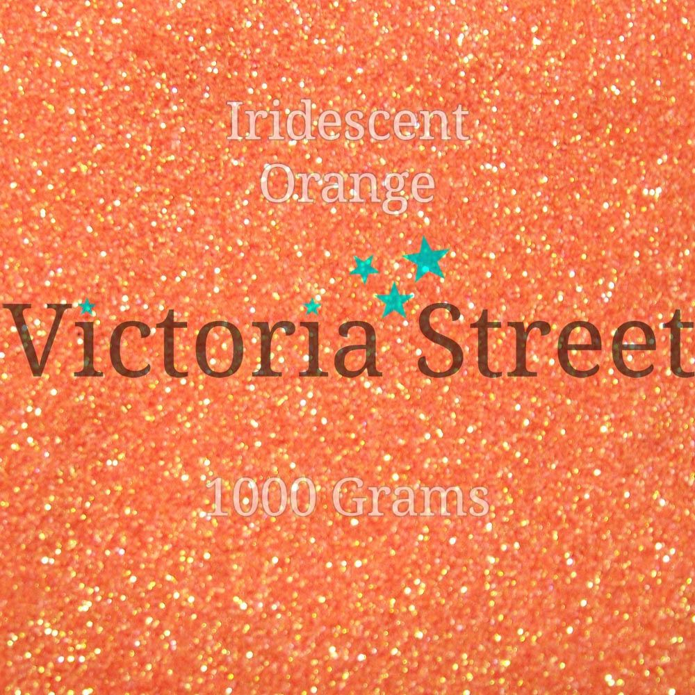 1000g Fine Glitter - 0.2mm / 0.008" - All Types