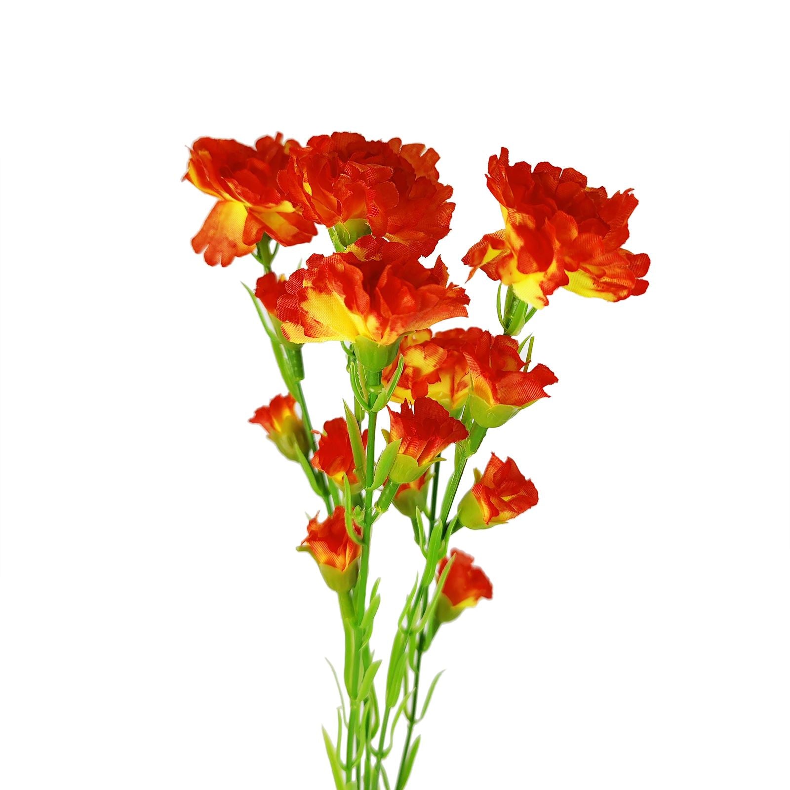 Carnation Spray