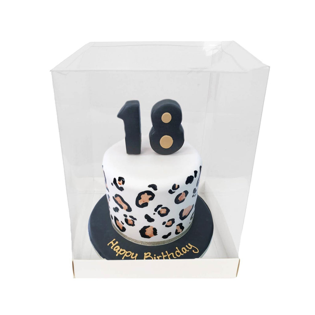 Extra Large Clear PVC Box