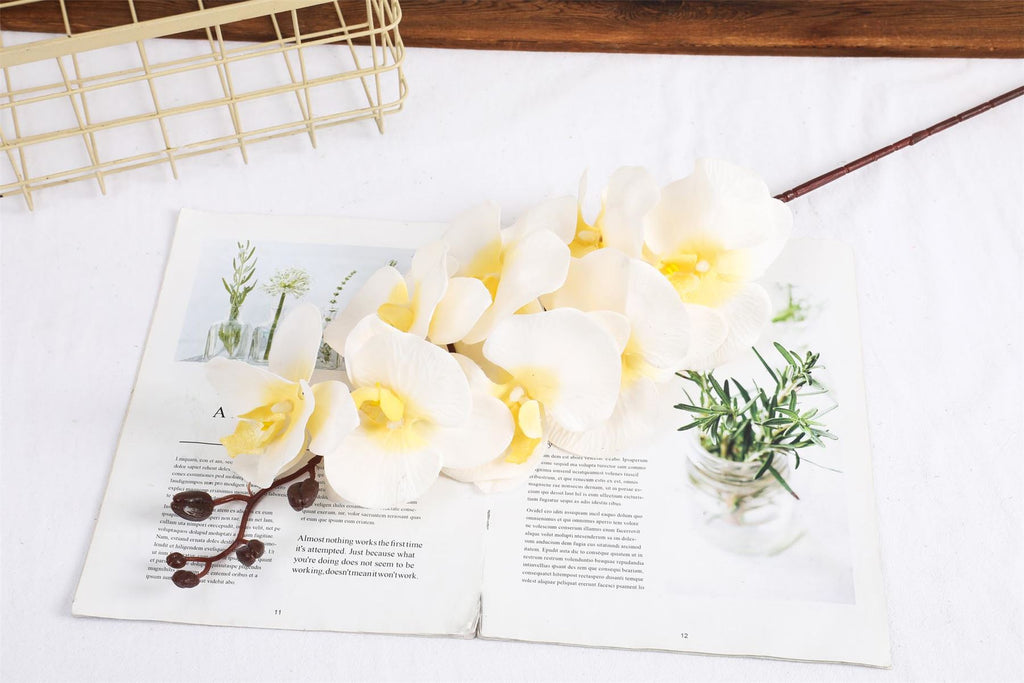 Premium Modern Large Orchid