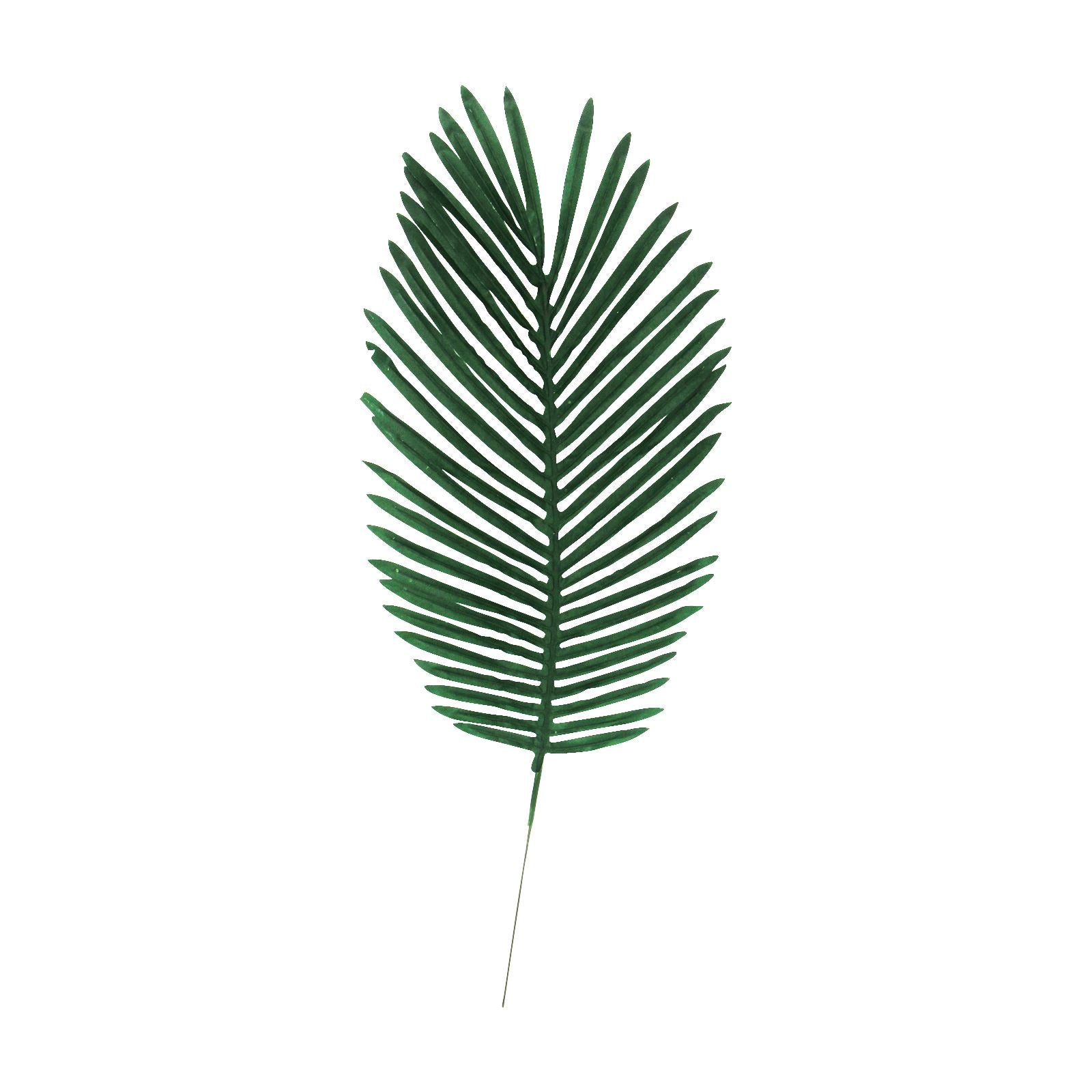 XL Premium Curved Palm Tropical Leaf