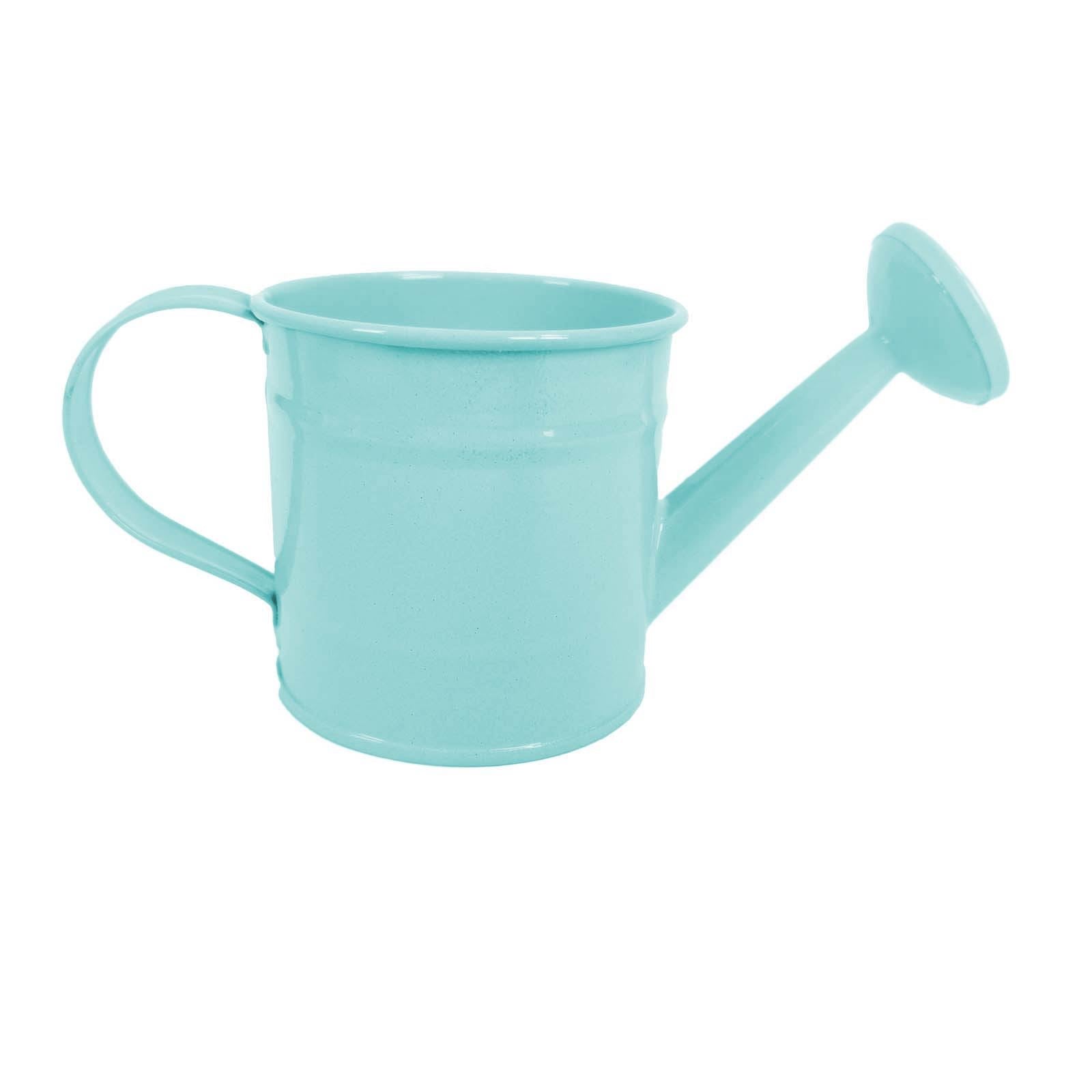 Mini Functional Watering Can