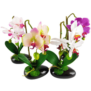 Pre-Potted Real Touch Orchid Plants