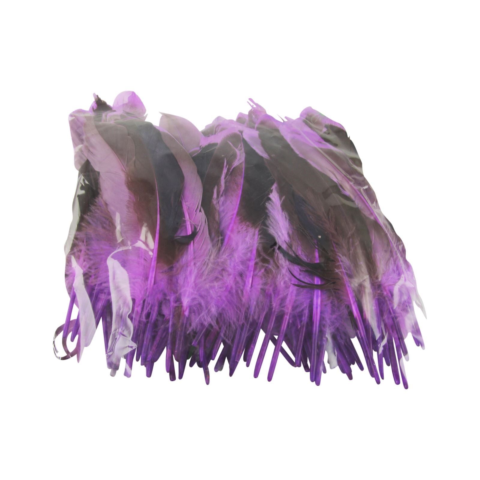 Two Toned Feathers
