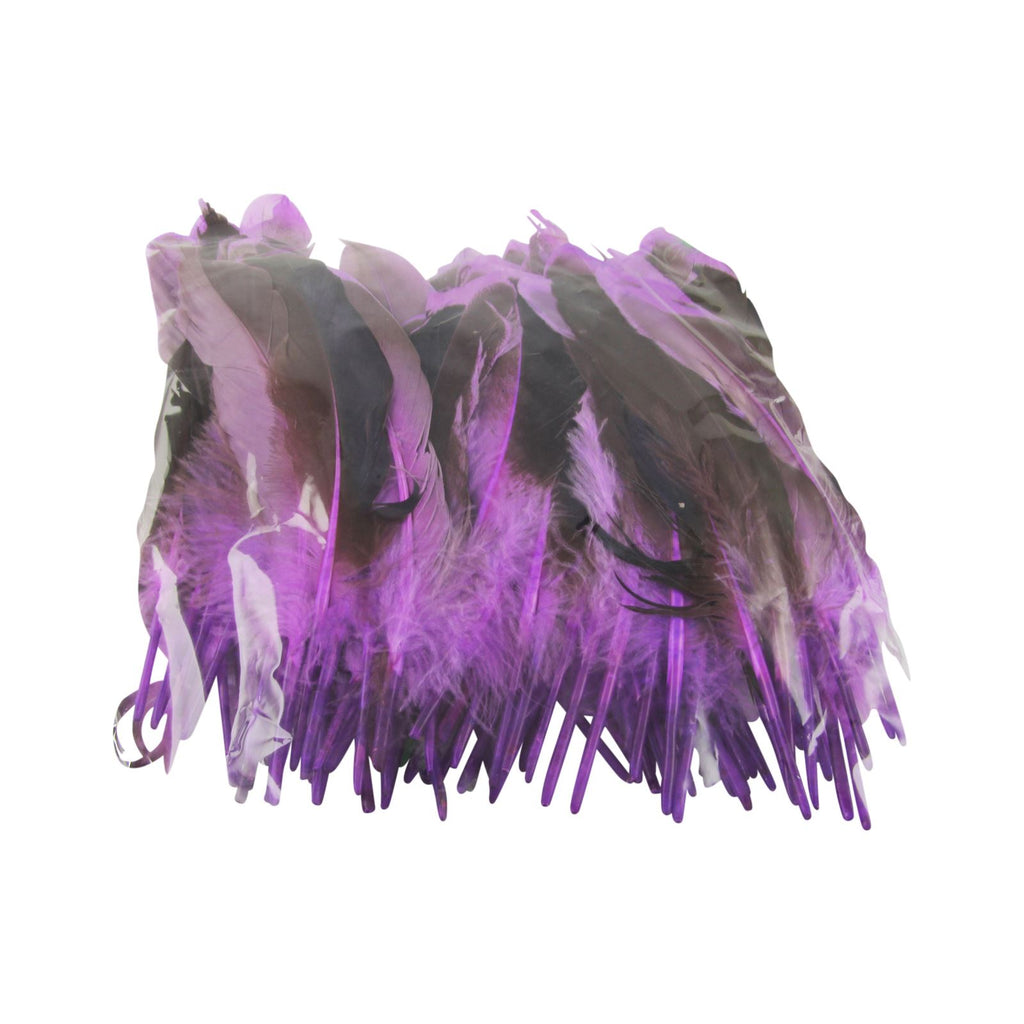 Two Toned Feathers