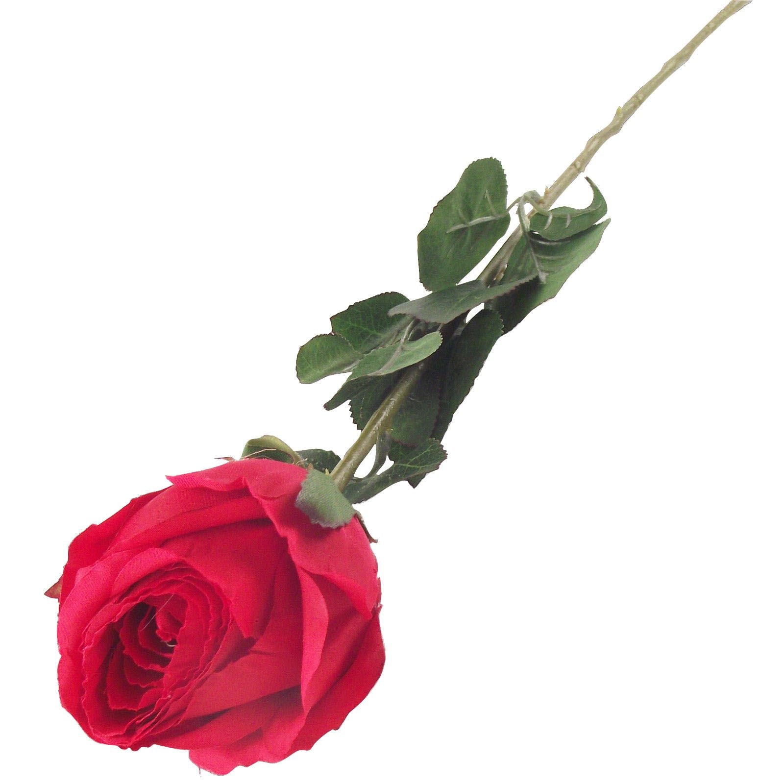 Single XL Closed Rose Bud