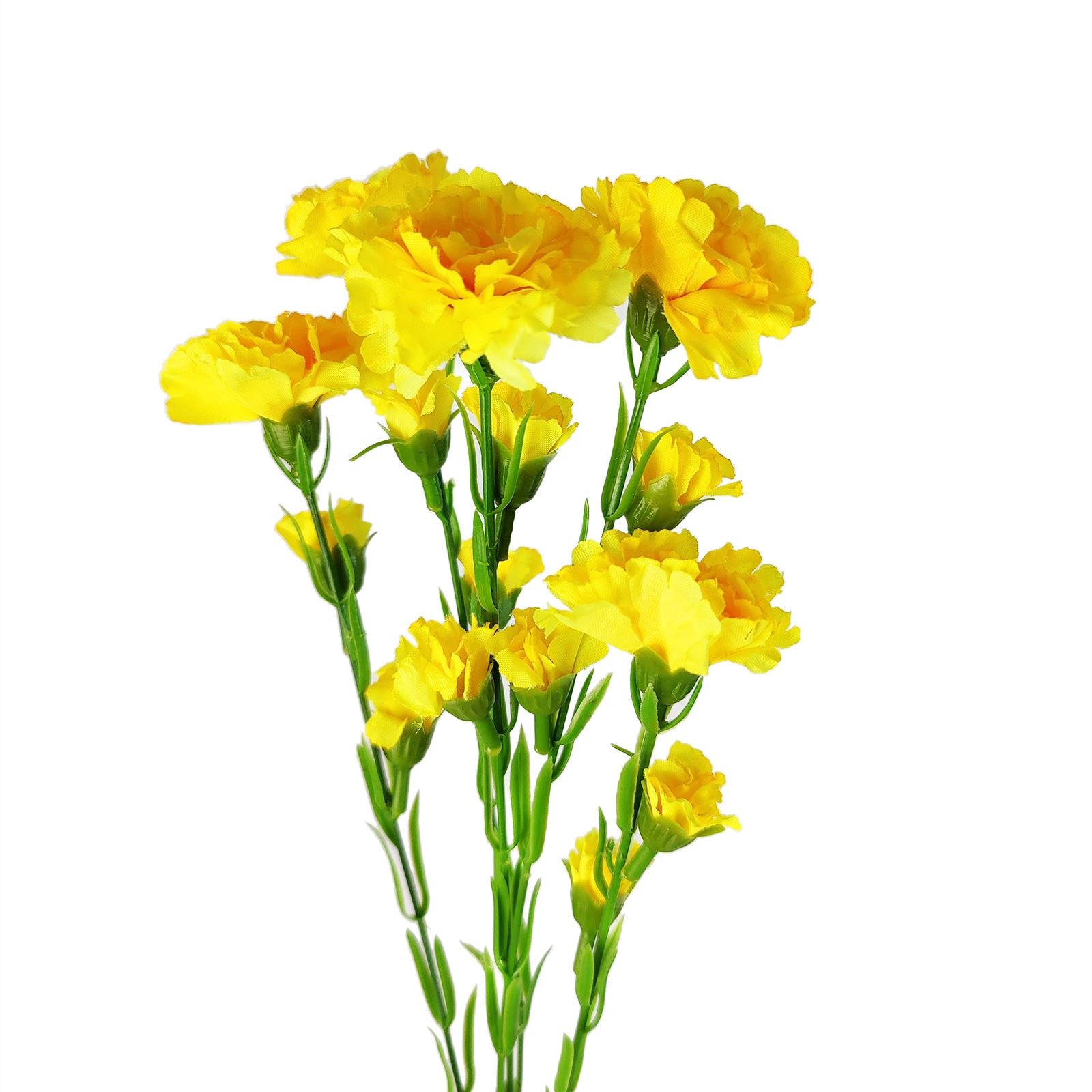 Carnation Spray