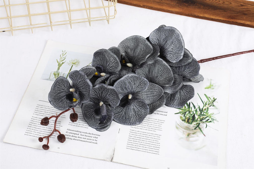 Premium Modern Large Orchid
