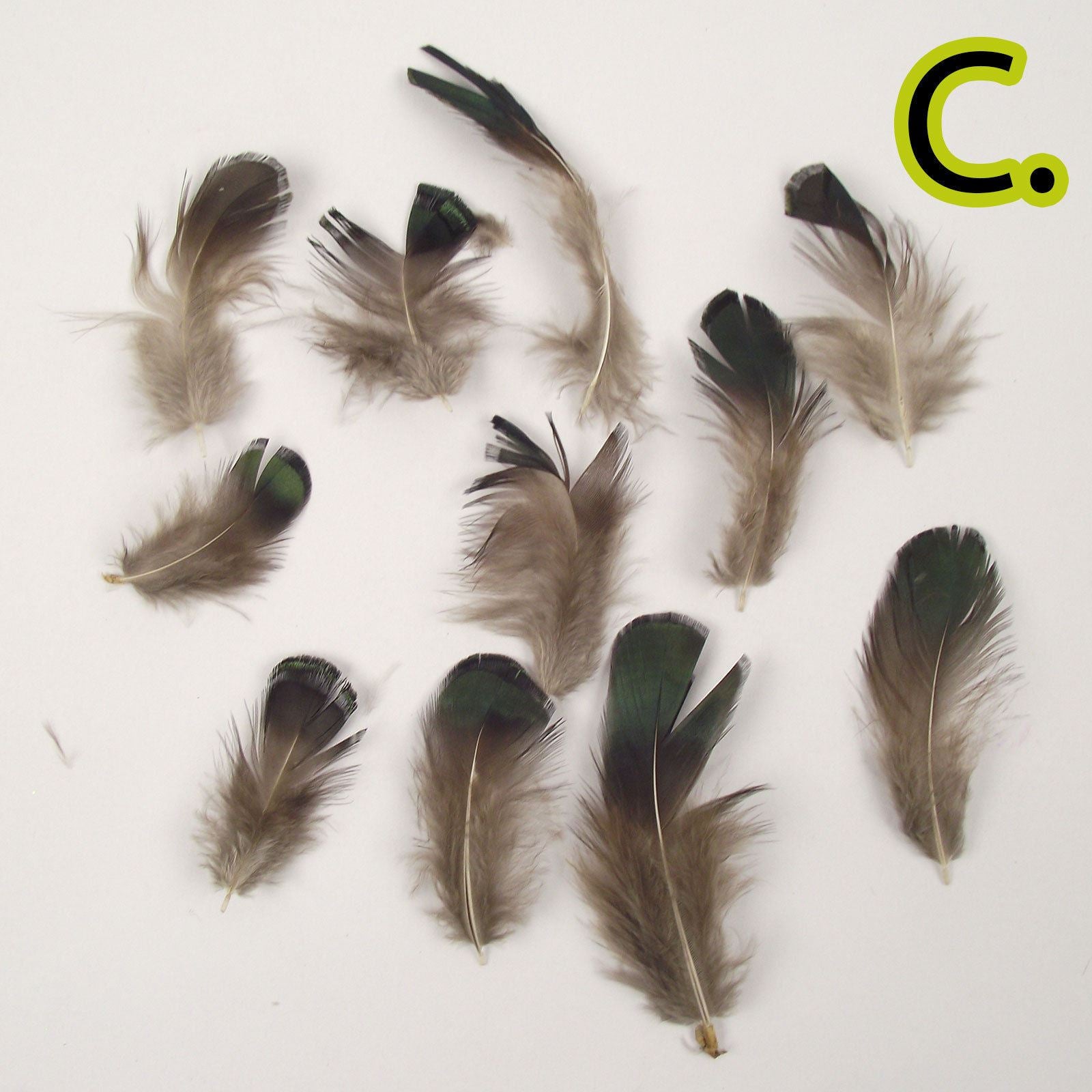 ☆ 美品 UA | FINE FEATHERS MAKE FINE BIRDS [2CD]（UA CD