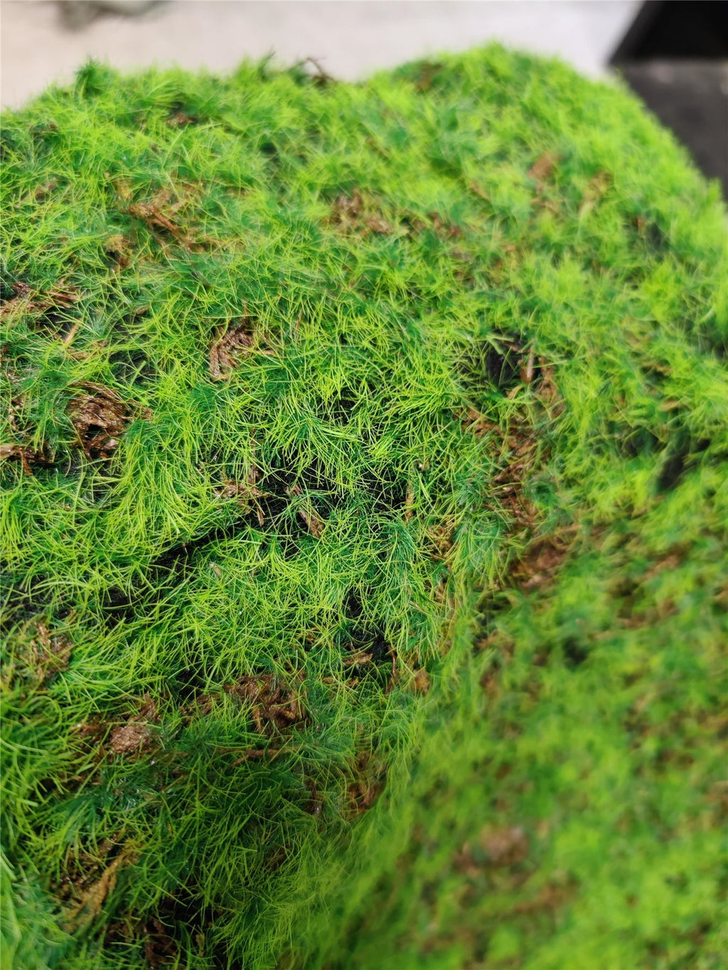 Deluxe Artificial Moss Mat