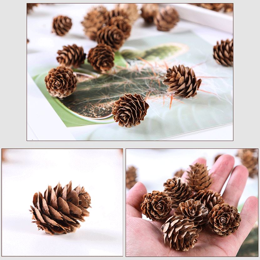 Miniature Natural Dried Baby Pinecones - Mini Pine Cones